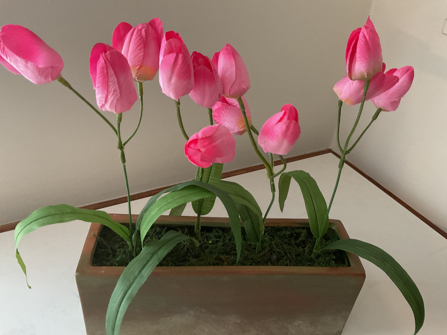 Tulip Planter