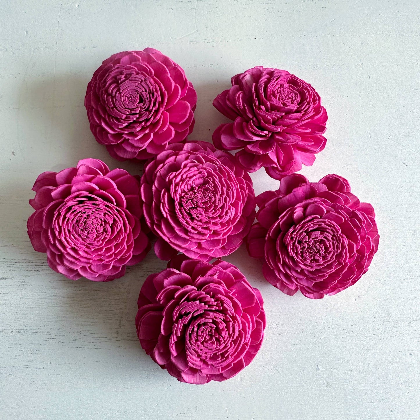 Sola Wood Marigold Flower - set of 6 - Vivid Burgundy Color