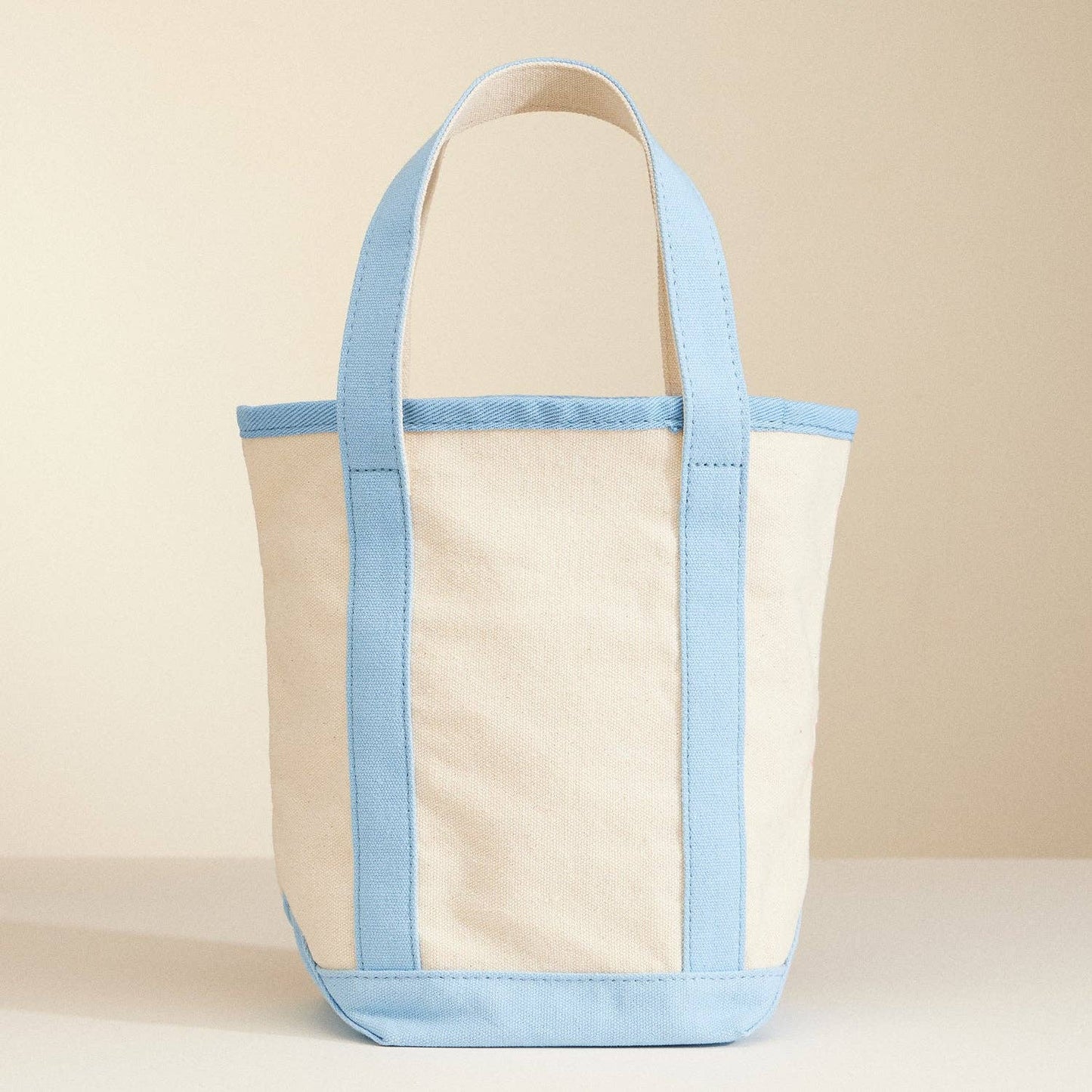 Small Size Sea Shell Print Everywhere-Carry Canvas Bag: Light Blue / One / 5DG78010