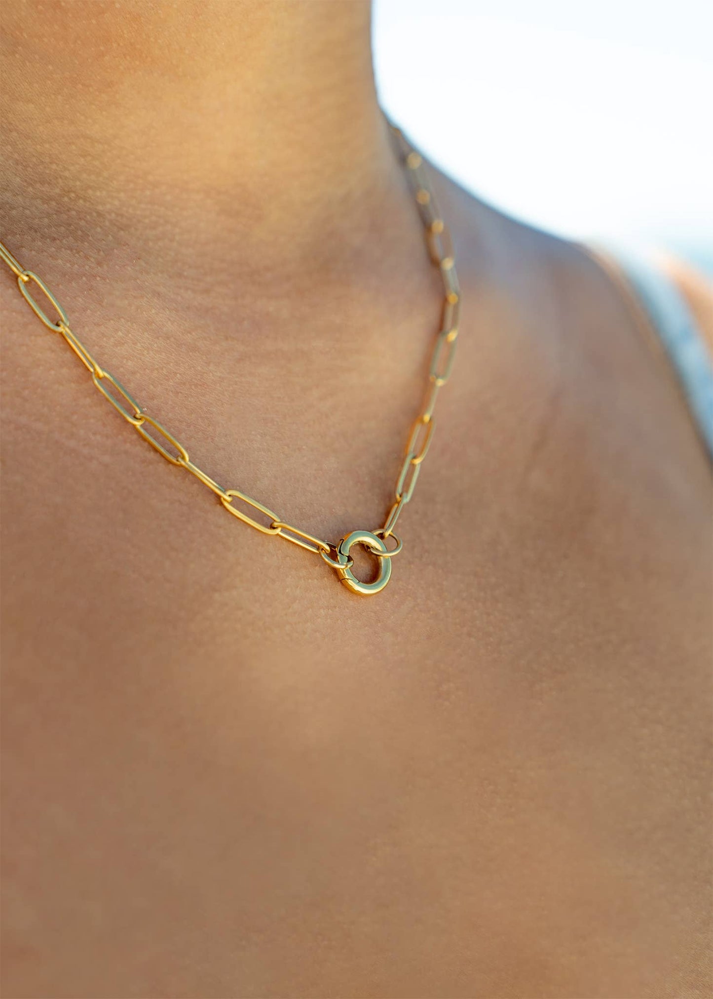 Stainless Steel Paperclip Carabiner Charm Holder Necklace: Gold / 16"+2"