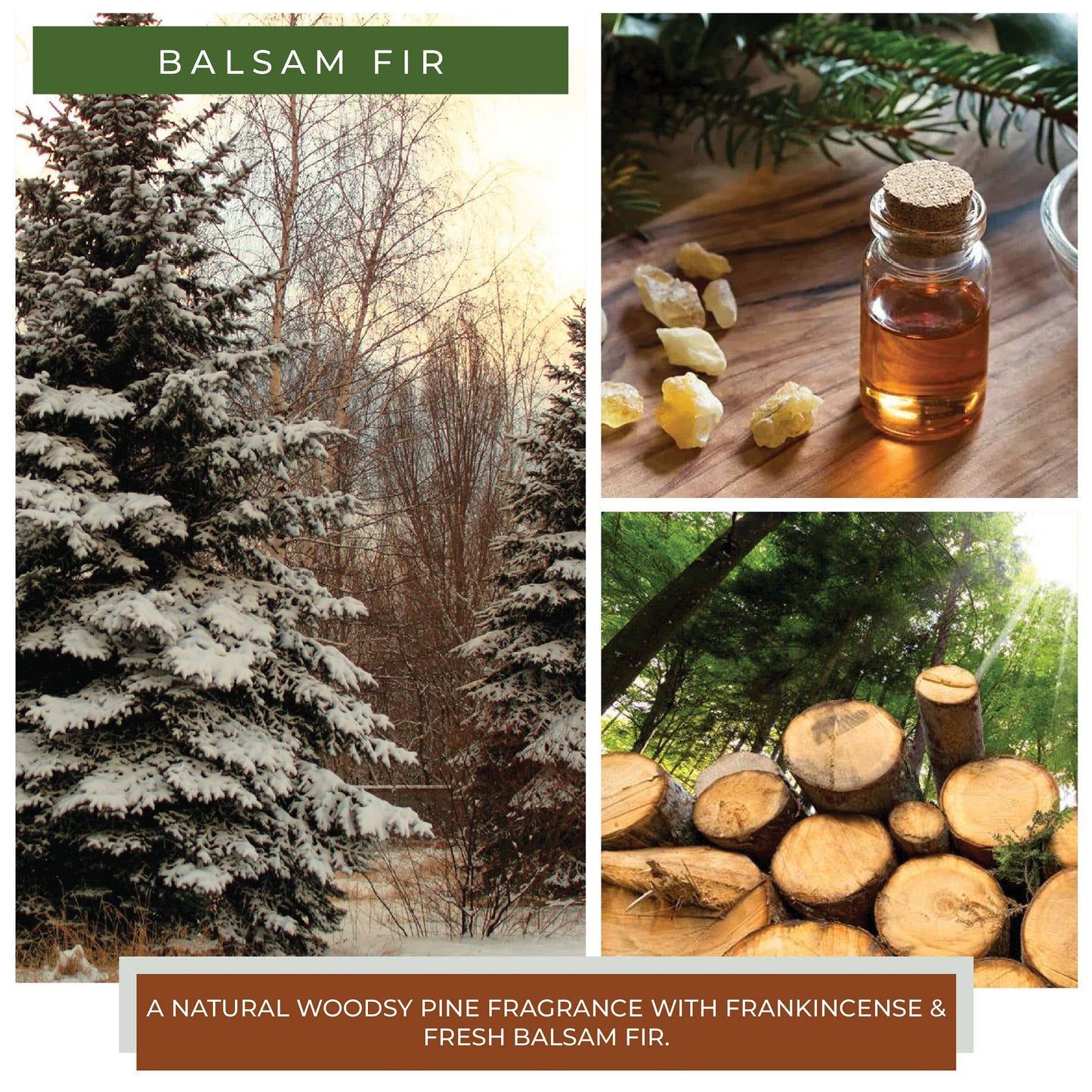KOTL Papa Candle (34oz.) – Balsam Fir