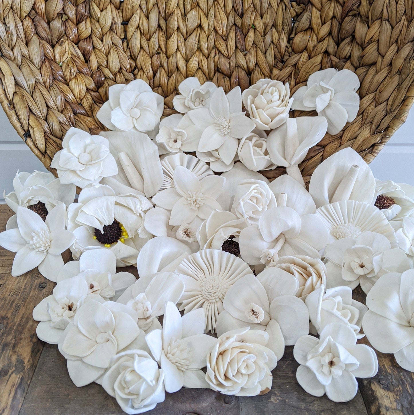 Tropical Sola Wood Flower Assortment - Set of 50