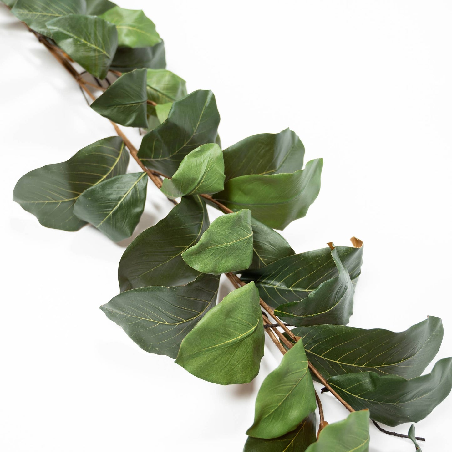 Mountain Magnolia Garland - 6 Feet