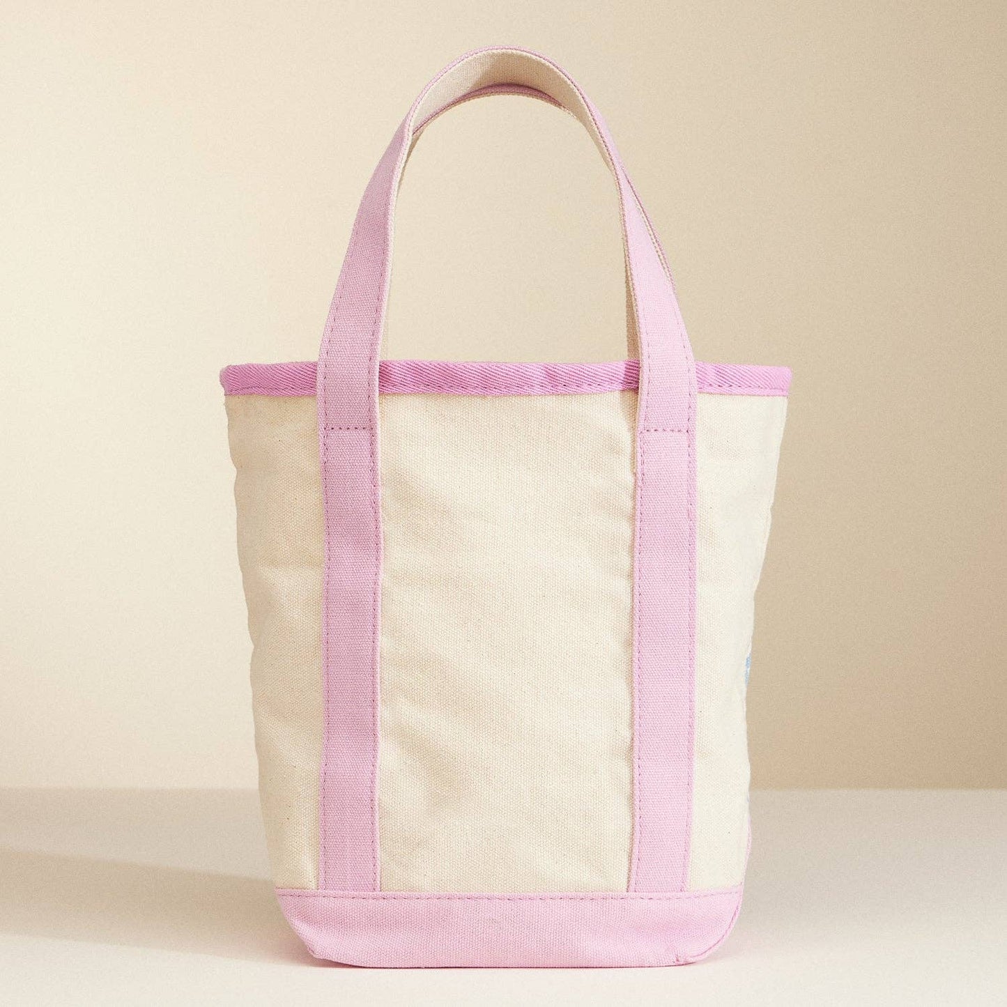 Small Size Sea Shell Print Everywhere-Carry Canvas Bag: Light Blue / One / 5DG78010