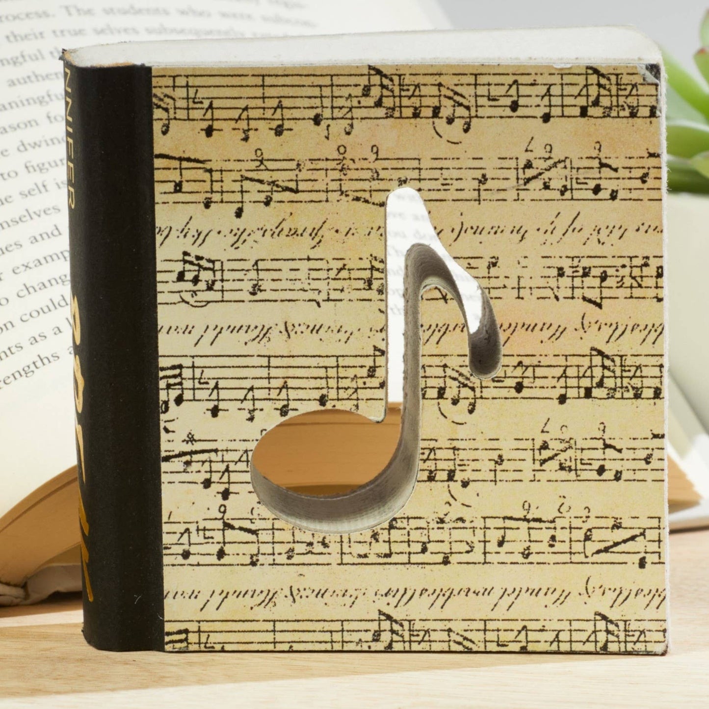Cutout books, gift for mom, shelf sitters, book lovers: Cat