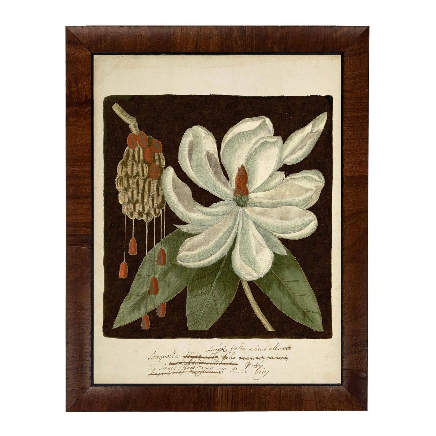 Vintage Floral print F on dark brown background: Shaped Copper & Black Frame 80433 / 8" X 10"