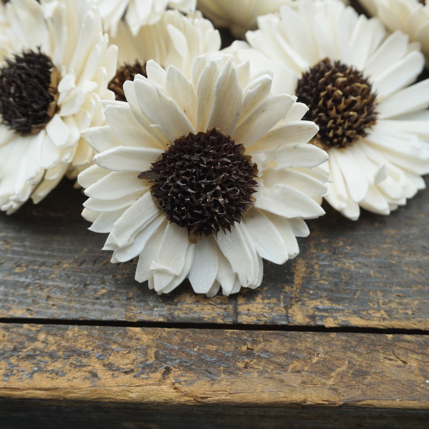 Sunflower (sola wood flower) - Set of 12 - 3 Inches