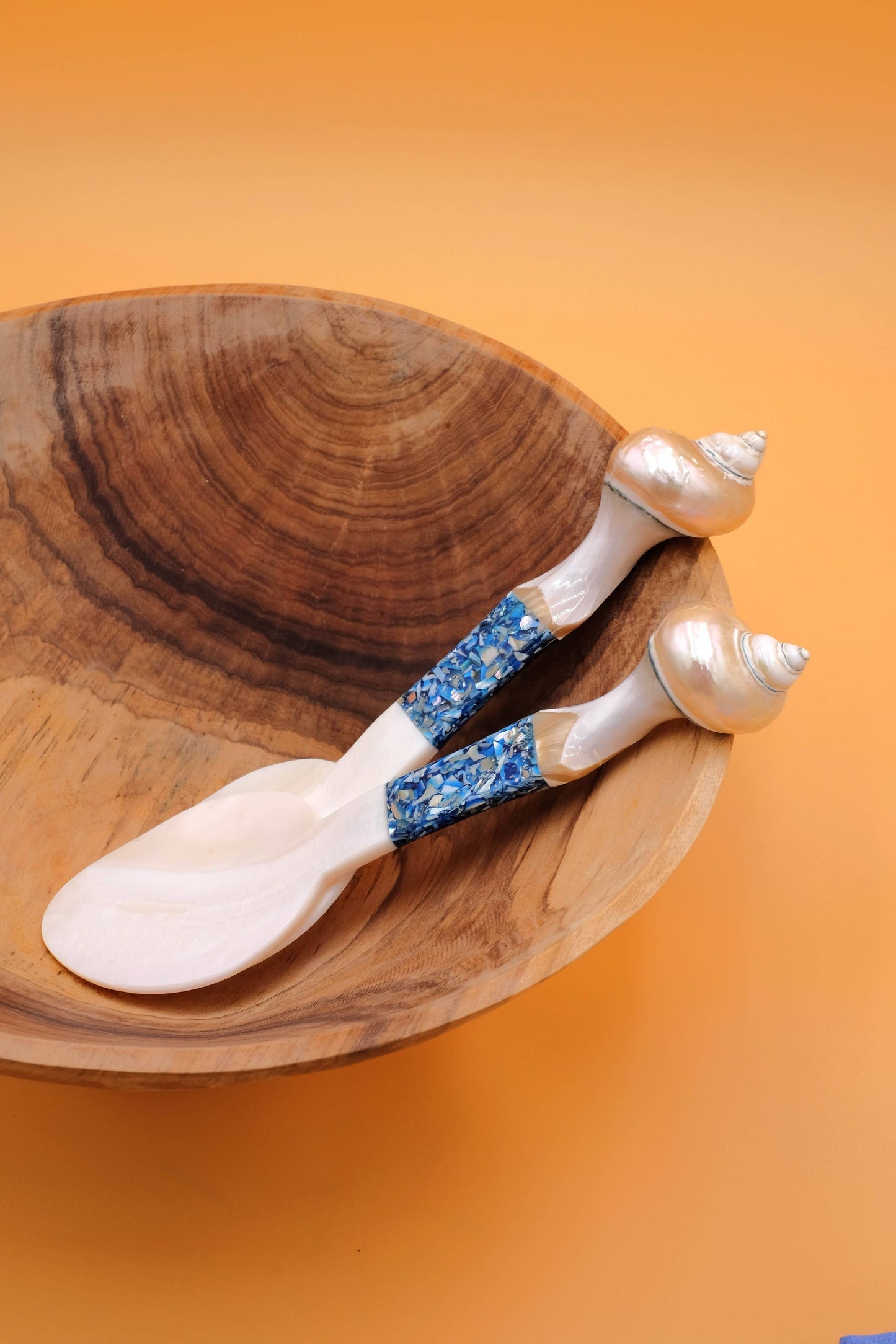 Seashell Serving Set in Blue