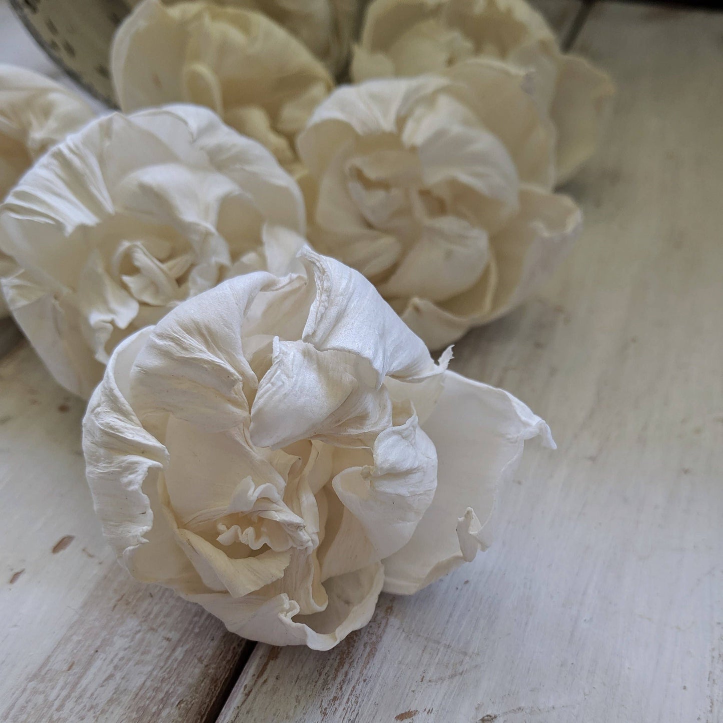 Peony Bud (sola wood flower) - 2.5 Inch - Set of 12