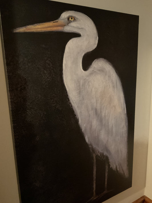 Black Heron