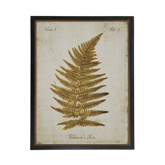 Sepia Wildenow'S Fern On Aged Background: Black With Bead 1300-905 U / 10" X 8"
