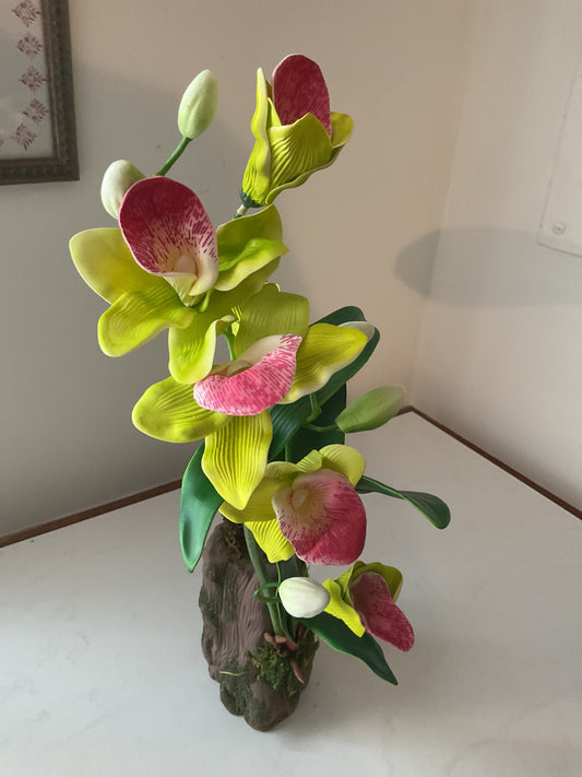 Orchid in Wood