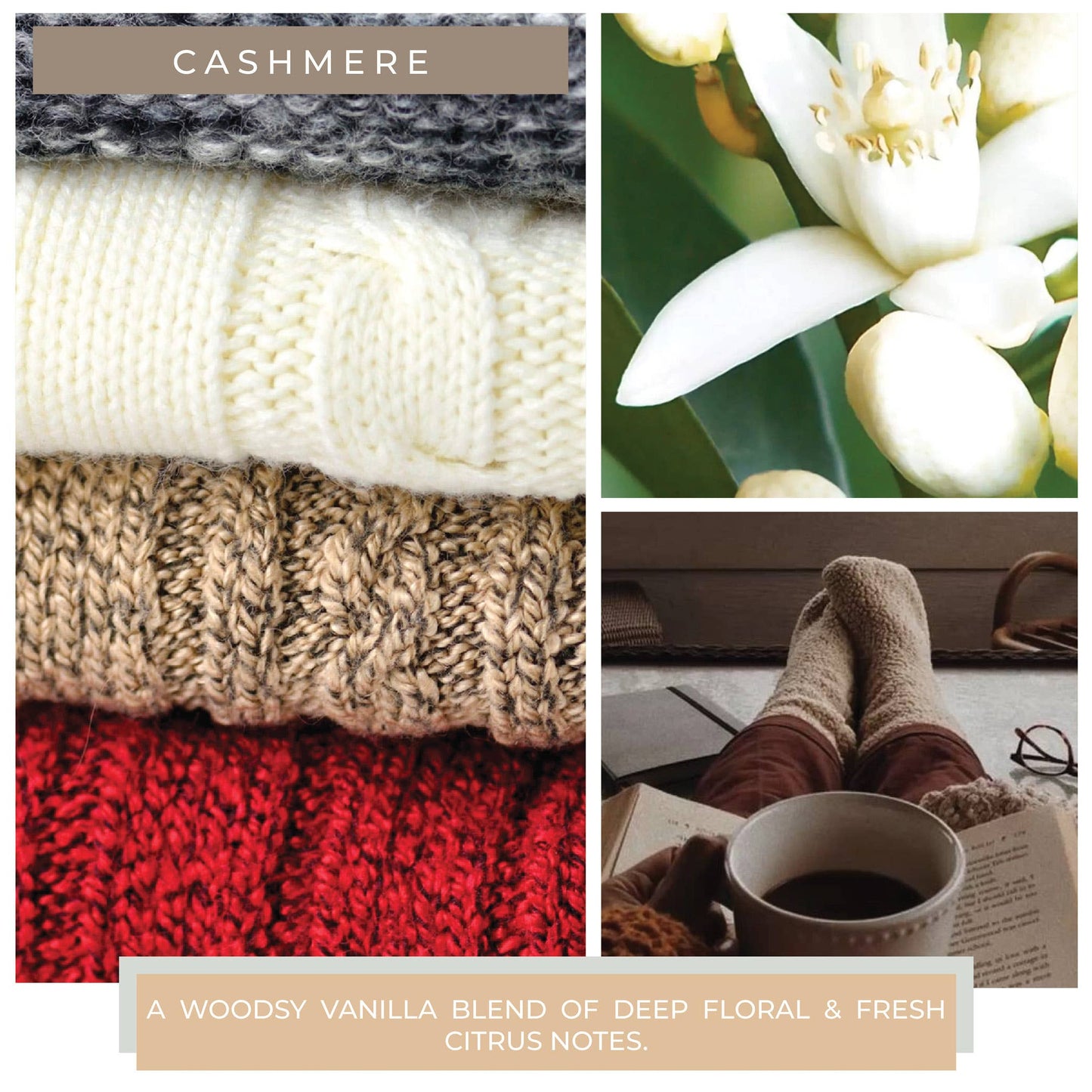 KOTL Papa Candle (34oz.) – Cashmere