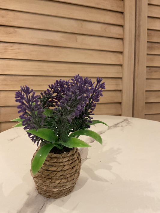 Small Wicker Arrangement
