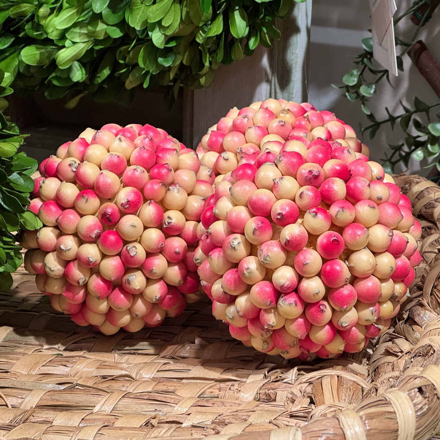Berry Ball - Shell - 4 Inch