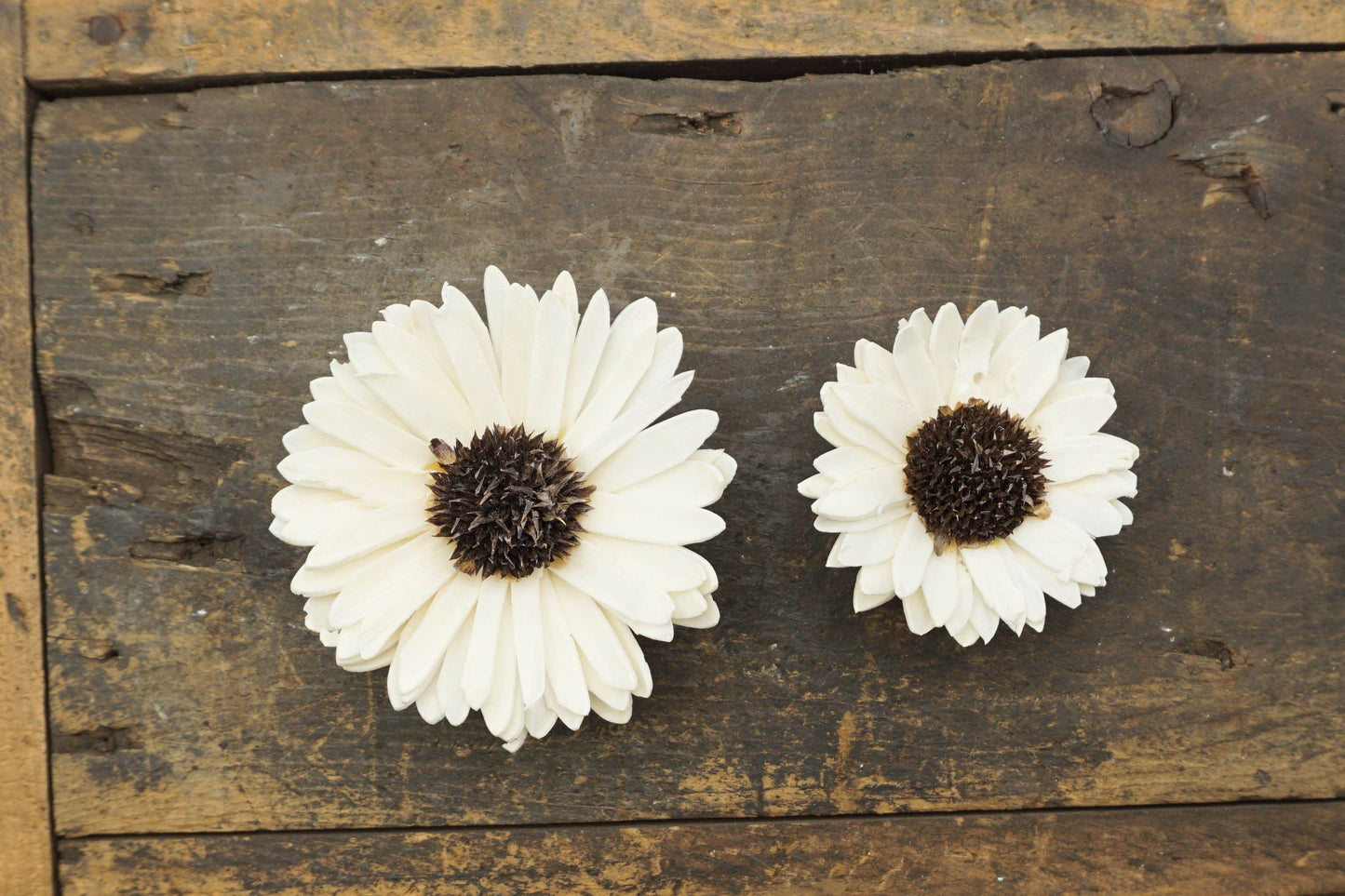 Sunflower (sola wood flower) - Set of 12 - 3 Inches