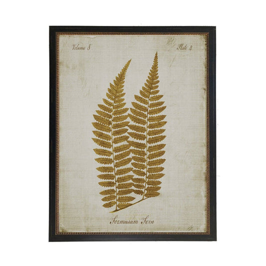 Sepia Formosum Fern On Aged Background: Black With Bead 1300-905 U / 10" X 8"