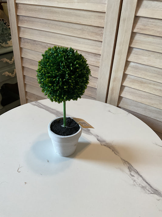 Mini Topiary