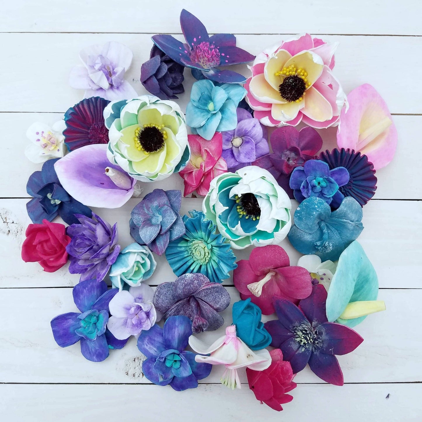 Tropical Sola Wood Flower Assortment - Set of 50