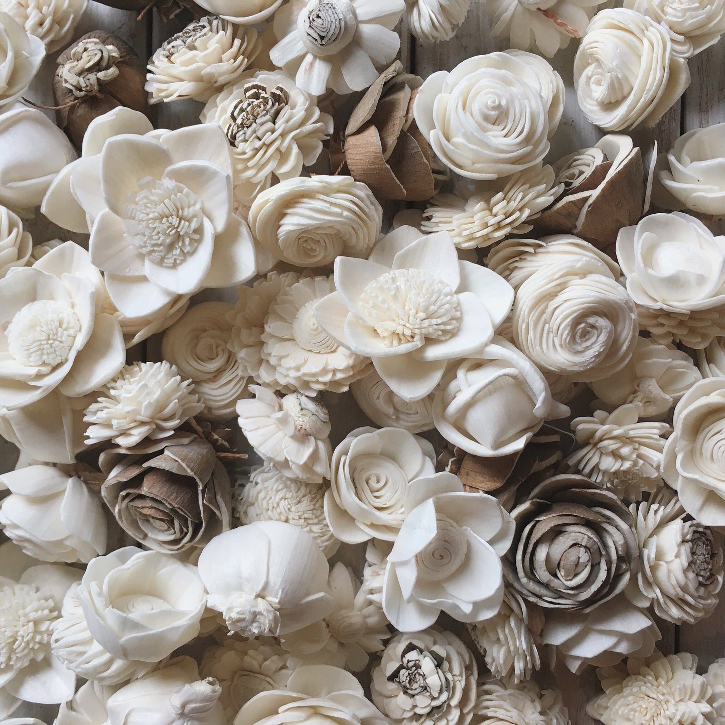 Mini Sola Wood Flower Assortment - Set of 50