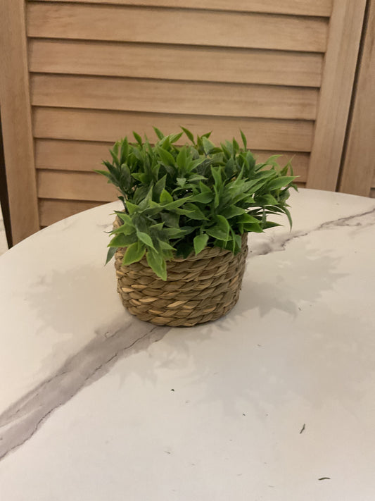 Small Wicker Greenery