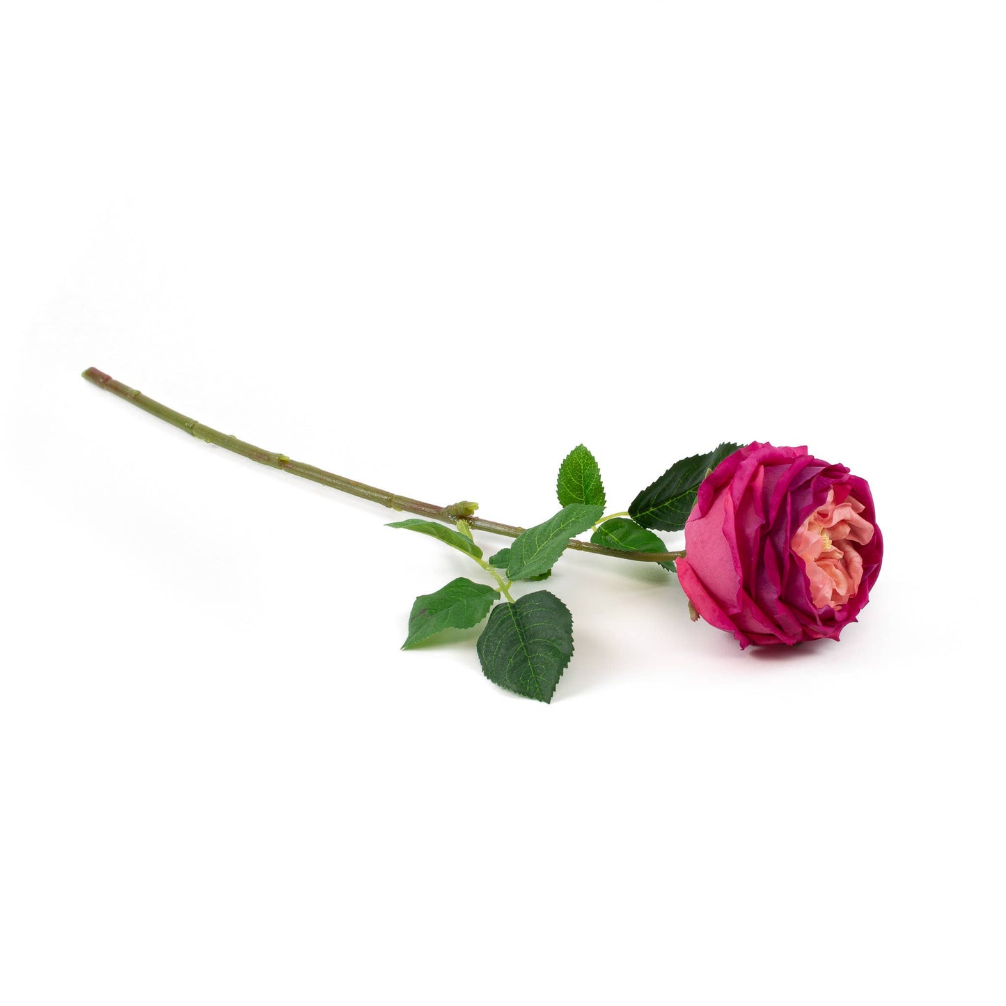 Real Touch Fuchsia 17" English Rose