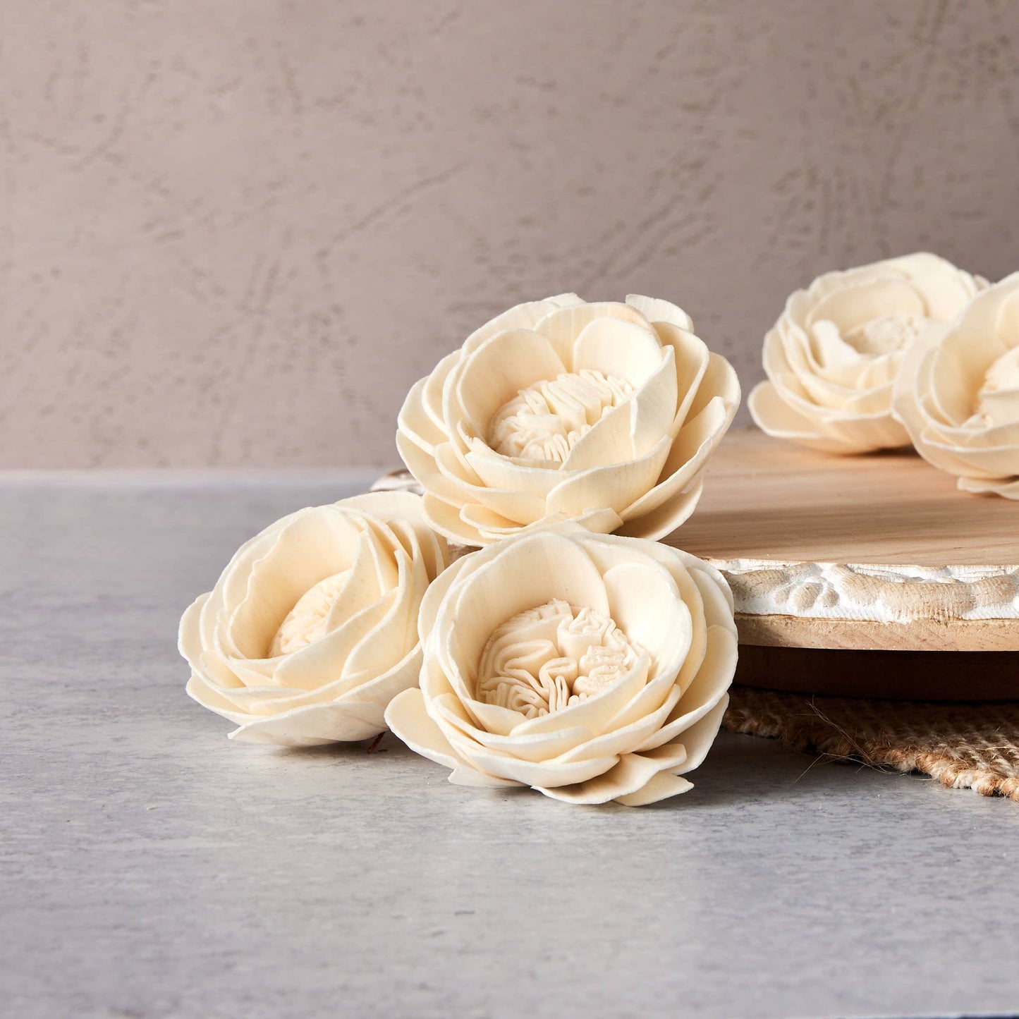 Cabbage Rose (sola wood flower) - Set of 12- 2.5 Inches
