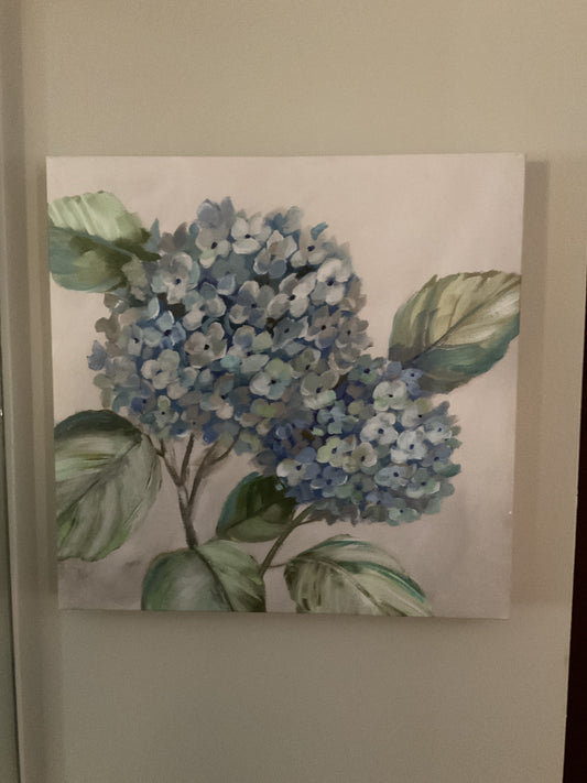 Hydrangea Beauty II