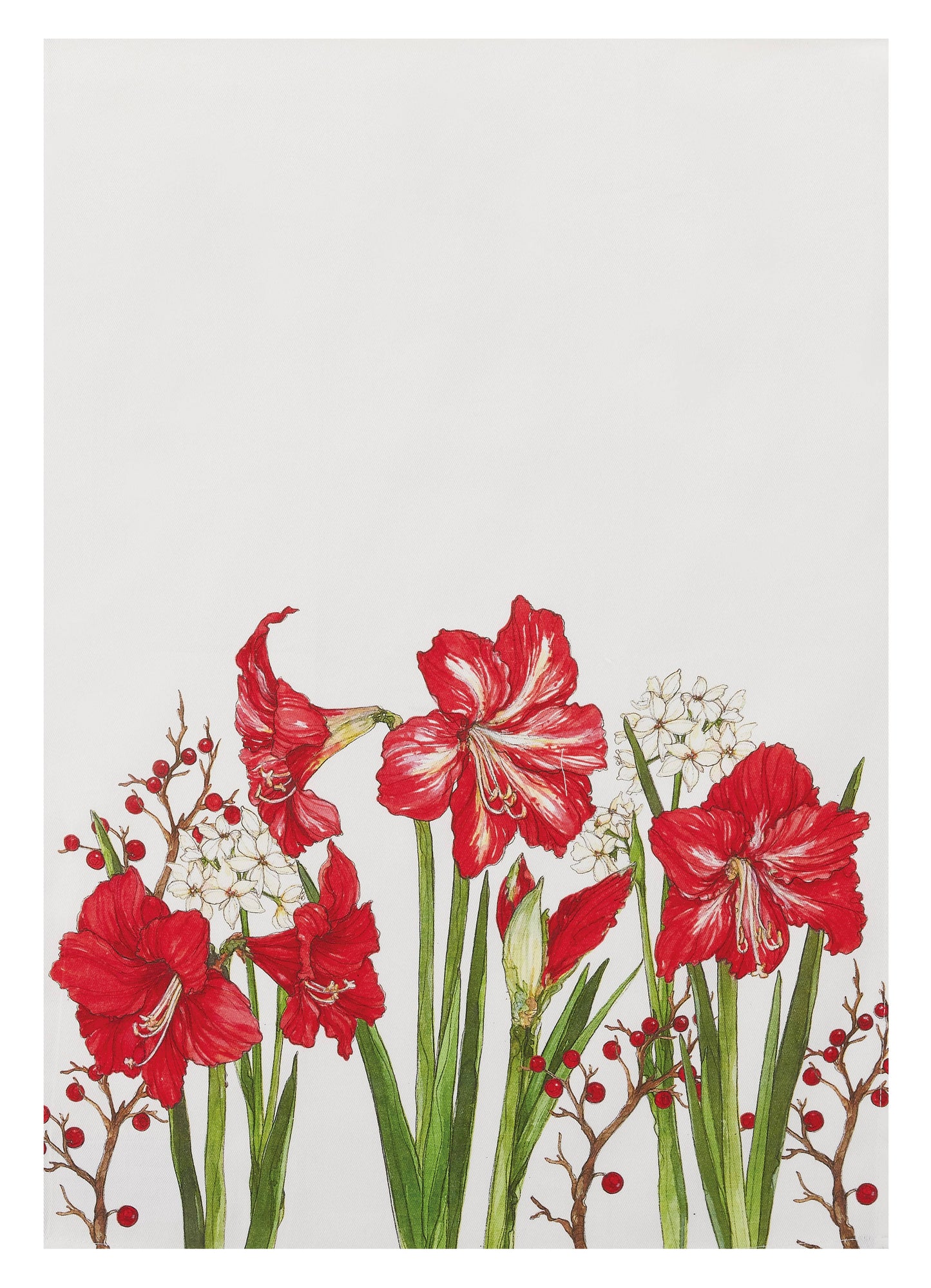 Chrismas Bloom Kitchen Towel - Sally Eckman Roberts