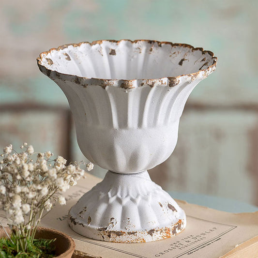 Scalloped Cup - Medium