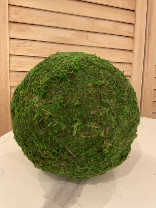 Moss Ball 6 in