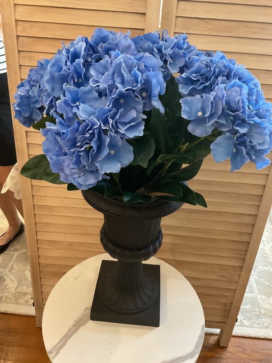 Blue Hydrangeas in Black Pot