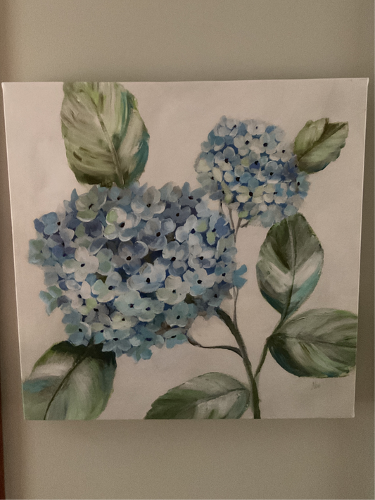 Hydrangea Beauty I