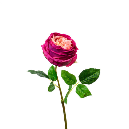 Real Touch Fuchsia 17" English Rose