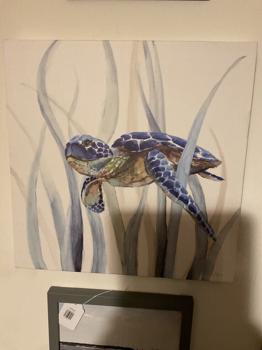 Small Turtles