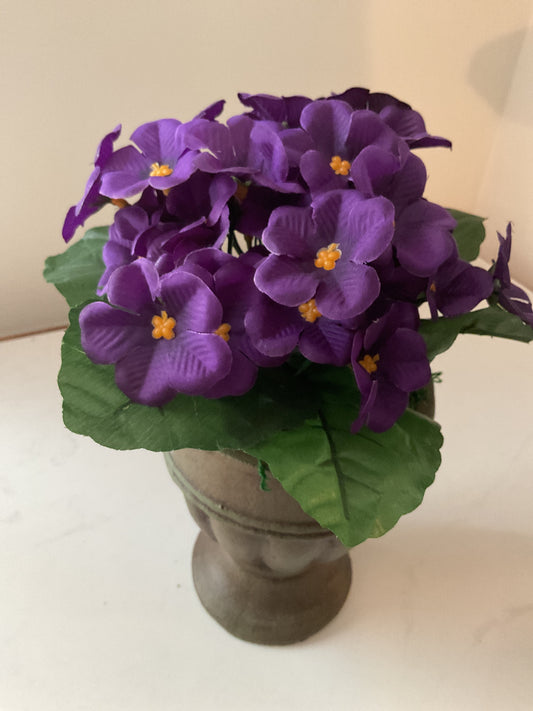 African Violet Dish