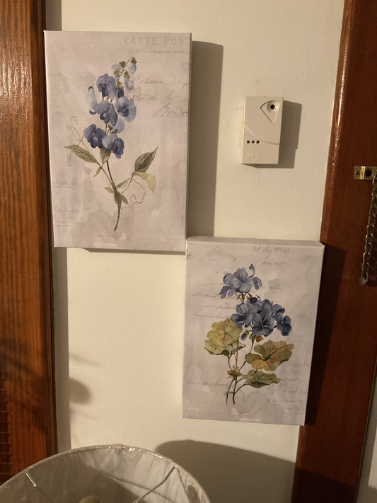 Hydrangea Set