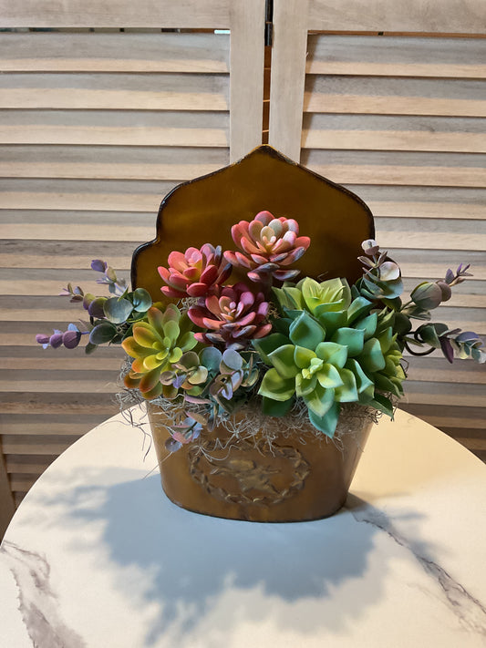 Wall Hanger Succulent