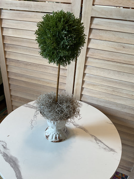 Scalloped Cup Topiary