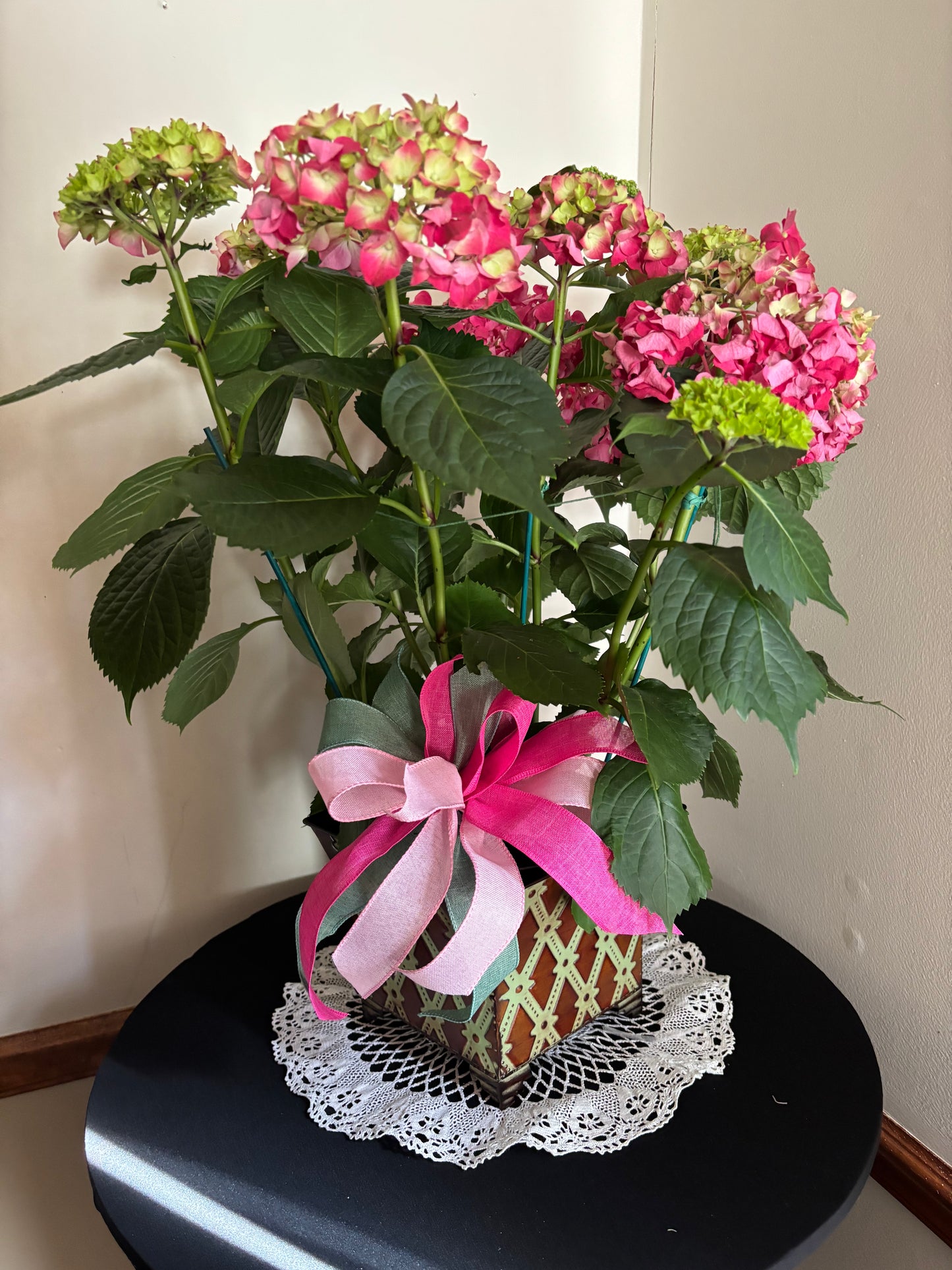 Potted Hydrangea with Bow