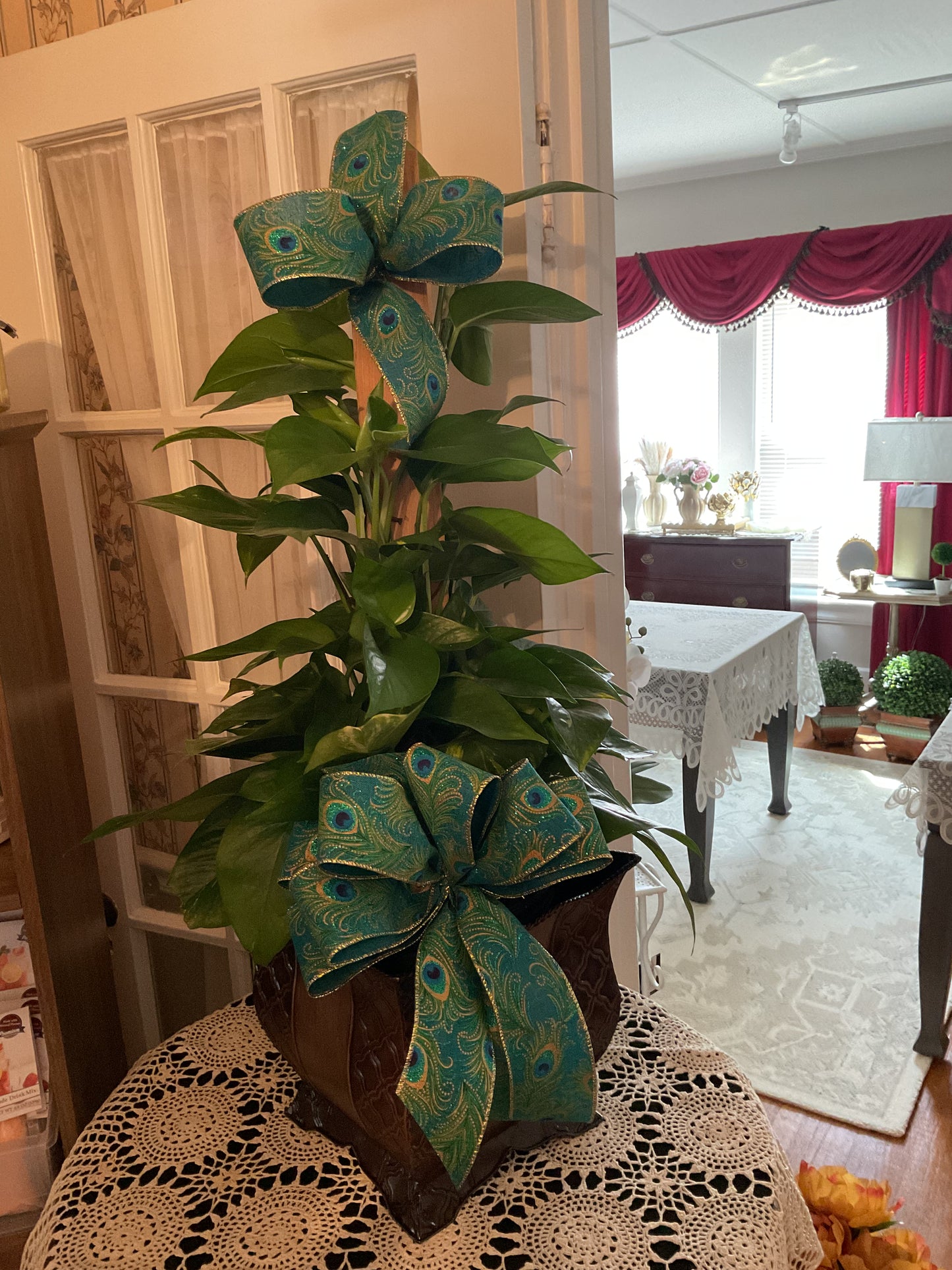 Pothos Pole in Basket with Bow