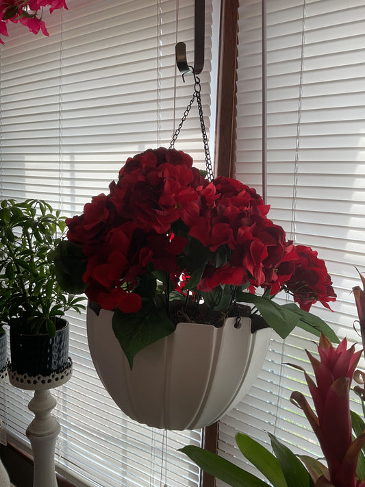 Red flower hanging basket