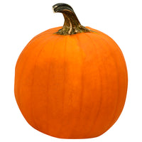 Large Carving Pumpkin