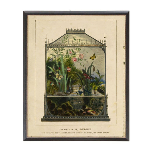 Vivarium Vintage bookplate: Black With Bead 1300-905 U / 8" X 10"