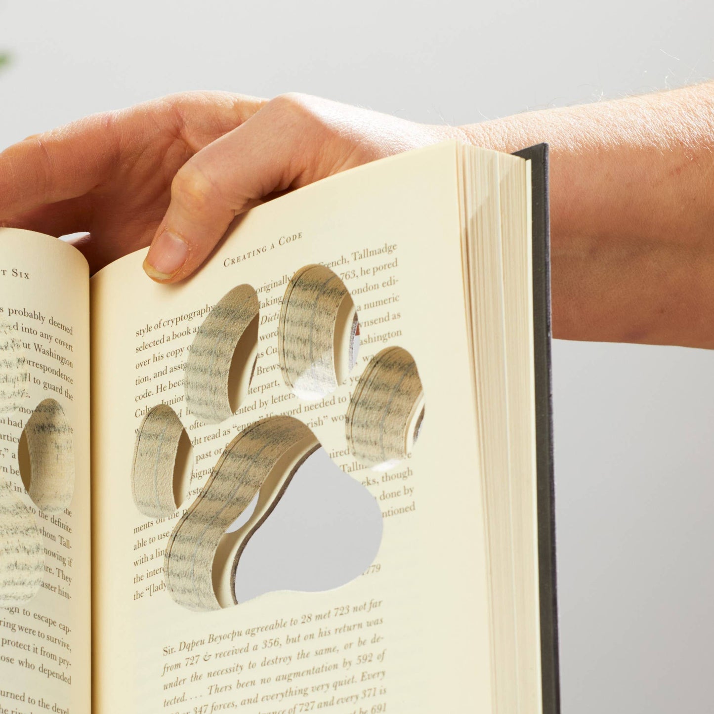 Cutout books, gift for mom, shelf sitters, book lovers: Cat