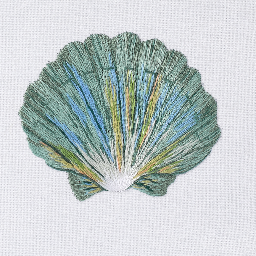 Shell Scallop Teal Tissue Box Cover