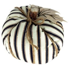Cream and Black Pumpkin