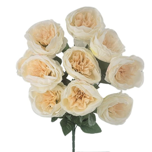 Peony Cup