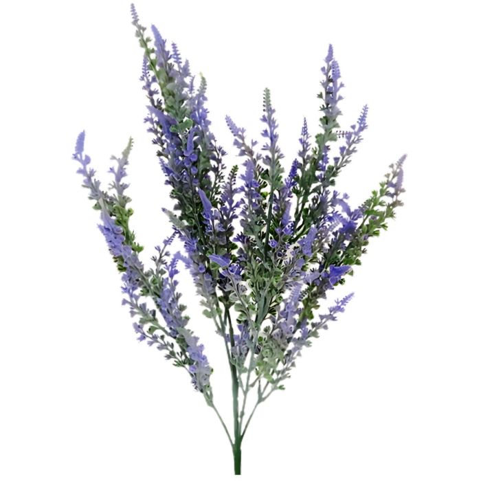 Lavender Bush