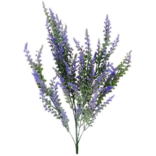 Lavender Bush